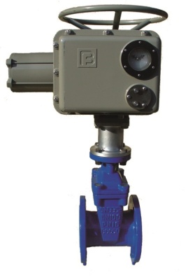 Задвижка с обрезиненным клином фланцевая ABRA с электроприводом Regada В Новосибирске